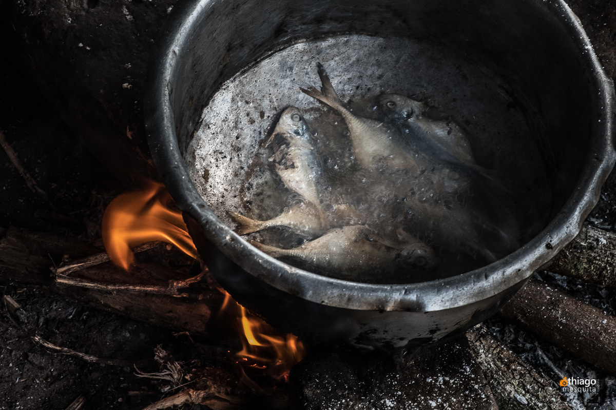 ONG Missão áfrica solidariedade Sustentável