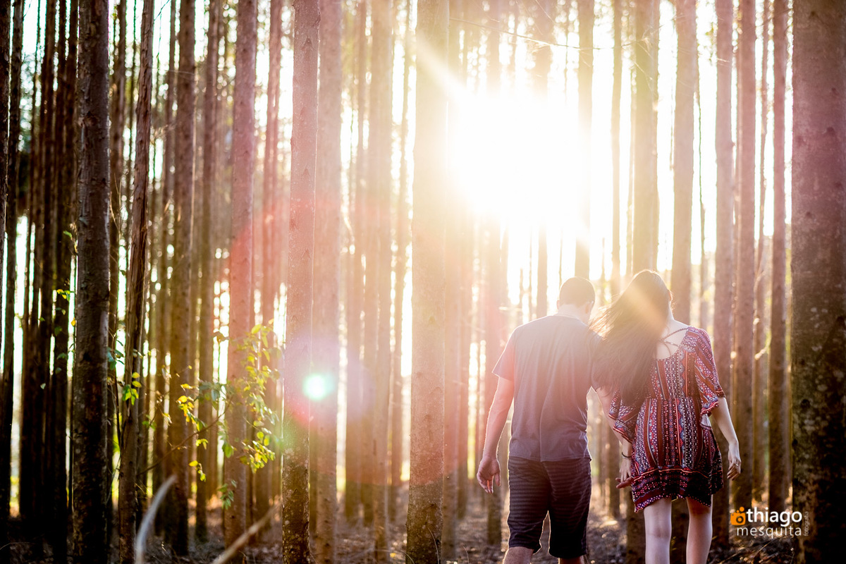 Bosque na Chácara Manancial, Thiago Mesquita fotografo