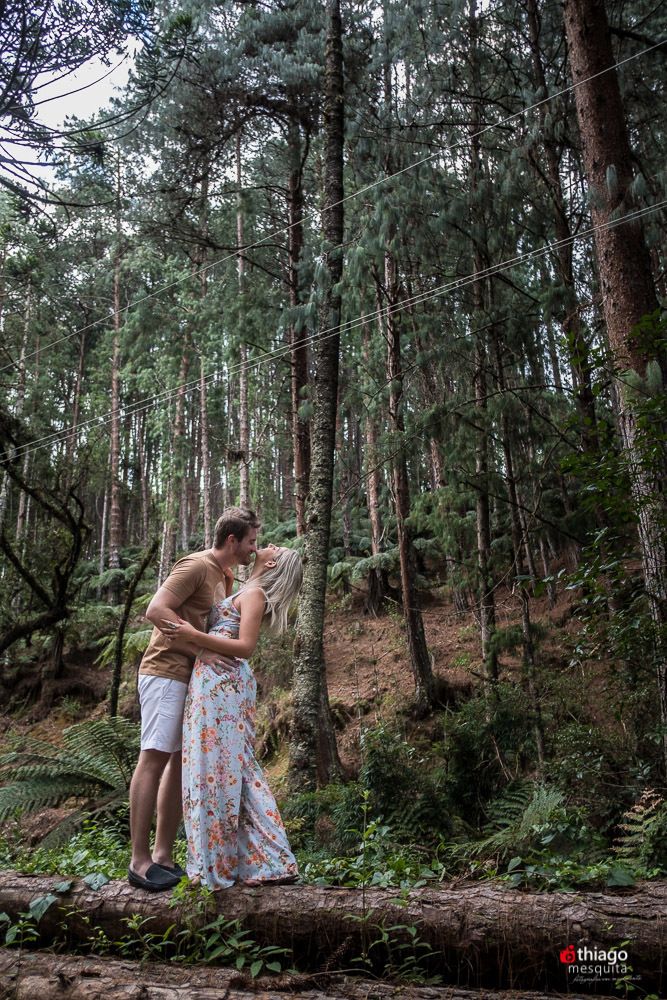 noivos no meio do bosque