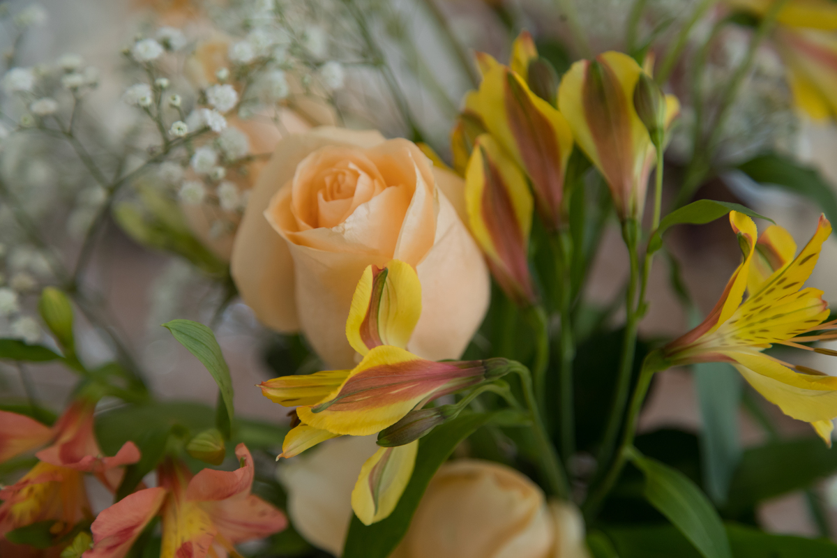 fotógrafo de casamento em bauru, fotógrafo em bauru, foto e vídeo bauru, ensaio de casamento, fotos de casamento, álbum de casamento bauru, casamento bauru, fotógrafo bauru, fotógrafo debutante bauru, noivas bauru, casamento bauru, gestante bauru