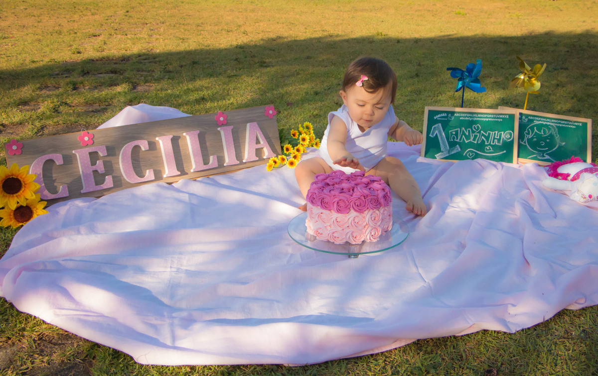 fotógrafo de aniversário infantil em bauru, fotógrafo em bauru, foto e vídeo bauru, fotógrafo de criança em bauru, buffet infantil em bauru, buffet kolorê bauru, festa de criança bauru, foto bauru, ensaio fotográfico de criança em bauru, bauru