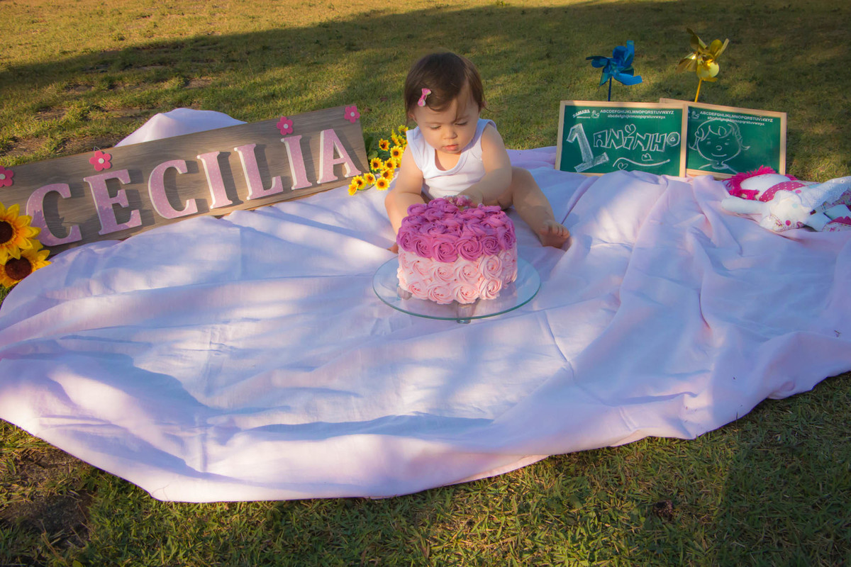 fotógrafo de aniversário infantil em bauru, fotógrafo em bauru, foto e vídeo bauru, fotógrafo de criança em bauru, buffet infantil em bauru, buffet kolorê bauru, festa de criança bauru, foto bauru, ensaio fotográfico de criança em bauru, bauru