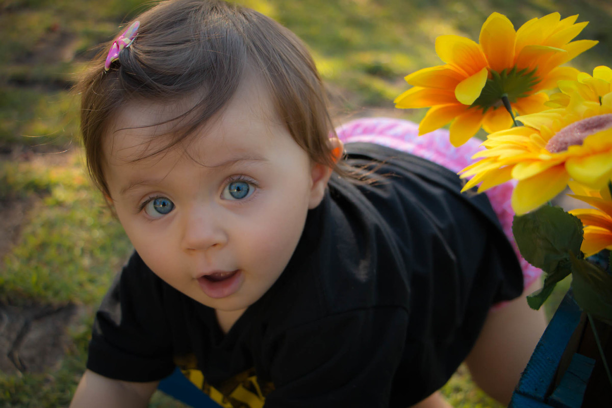 fotógrafo de aniversário infantil em bauru, fotógrafo em bauru, foto e vídeo bauru, fotógrafo de criança em bauru, buffet infantil em bauru, buffet kolorê bauru, festa de criança bauru, foto bauru, ensaio fotográfico de criança em bauru, bauru