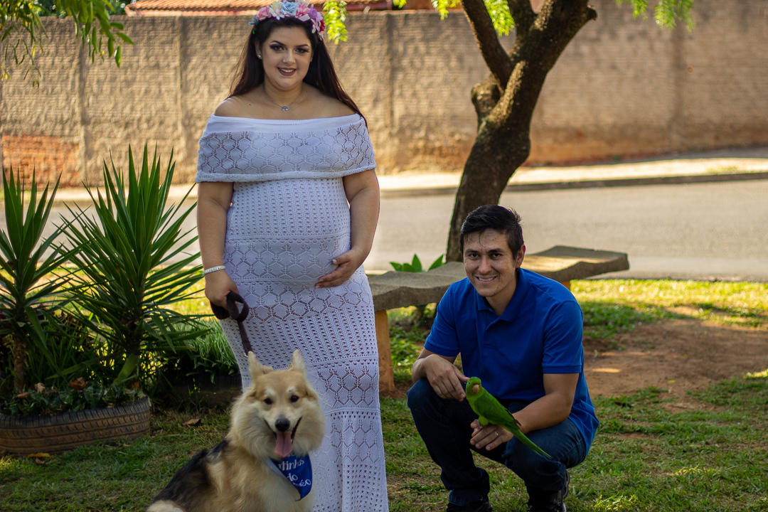 Ensaio gestante com cachorro e passarinho em Espirito Santo do Pinhal 