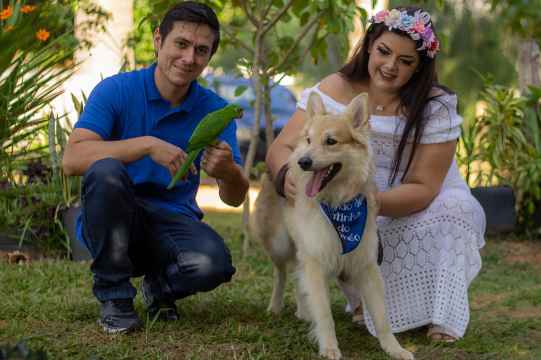 Ensaio gestante com cachorro e passarinho em Espirito Santo do Pinhal