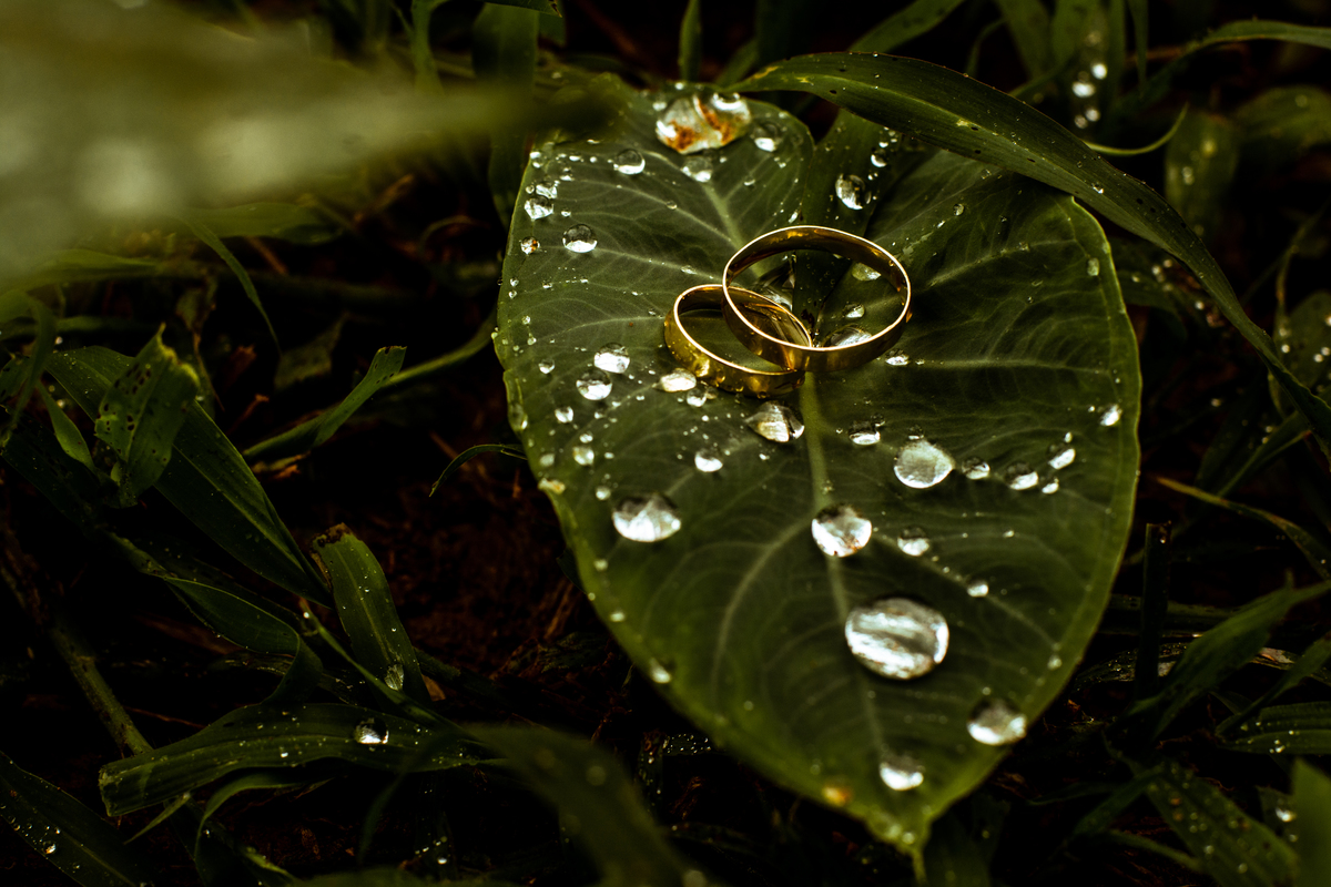 foto das alianças em uma folha com gotas de chuva