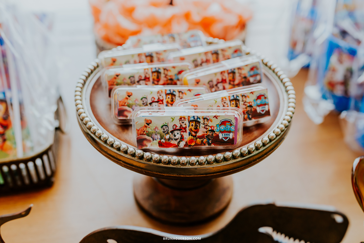 fotografia festa infantil casa de festas nautilus Rio de Janeiro ilha do governador 3 anos dinossauro