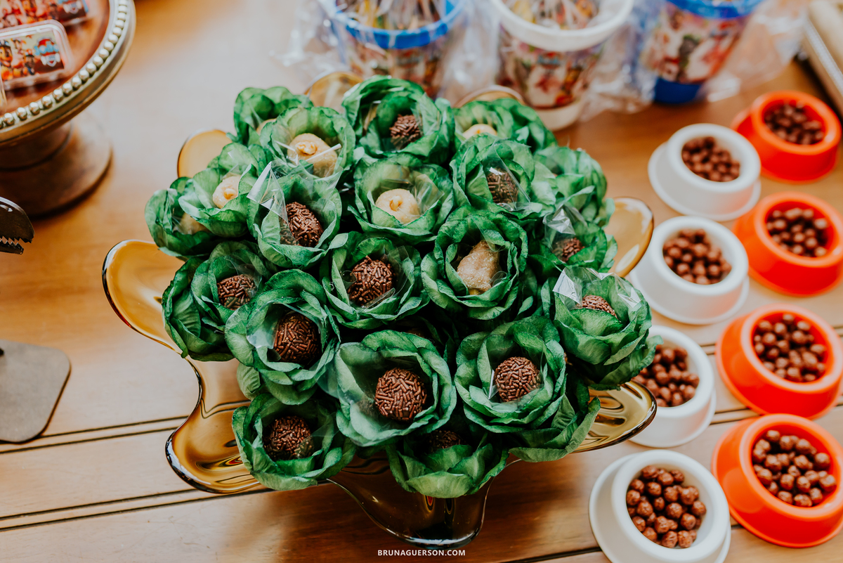 fotografia festa infantil casa de festas nautilus Rio de Janeiro ilha do governador 3 anos dinossauro