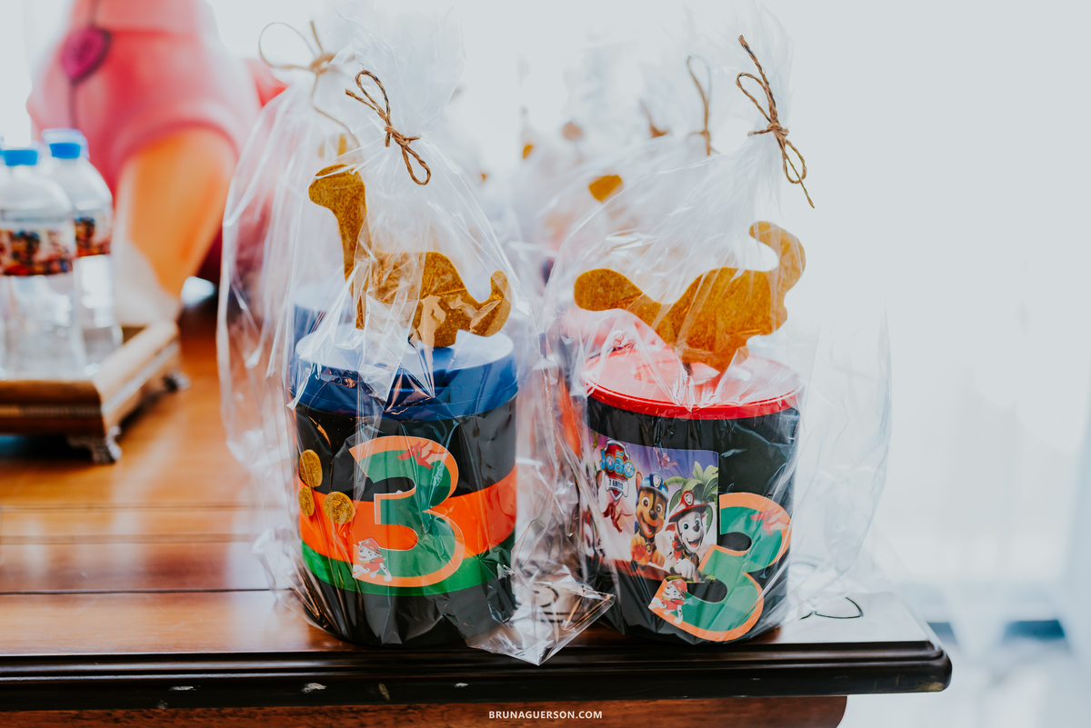 fotografia festa infantil casa de festas nautilus Rio de Janeiro ilha do governador 3 anos dinossauro