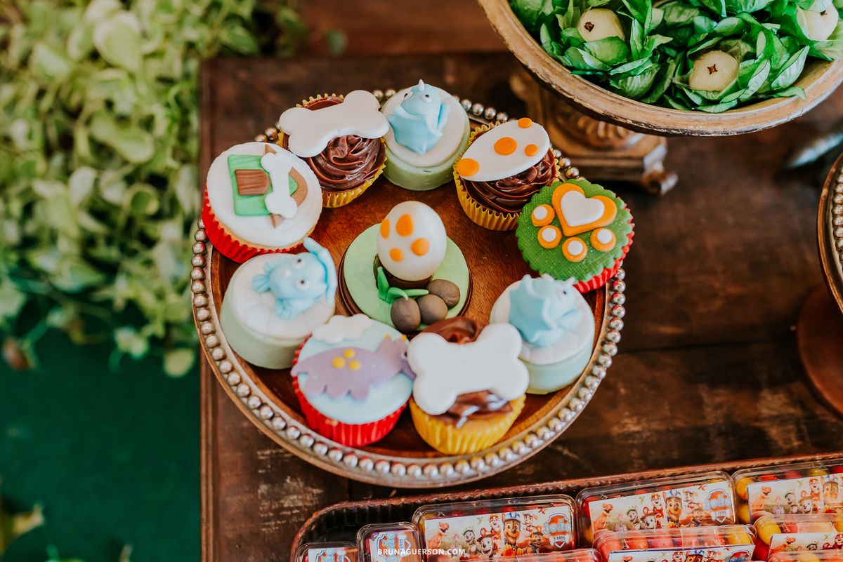 fotografia festa infantil casa de festas nautilus Rio de Janeiro ilha do governador 3 anos dinossauro