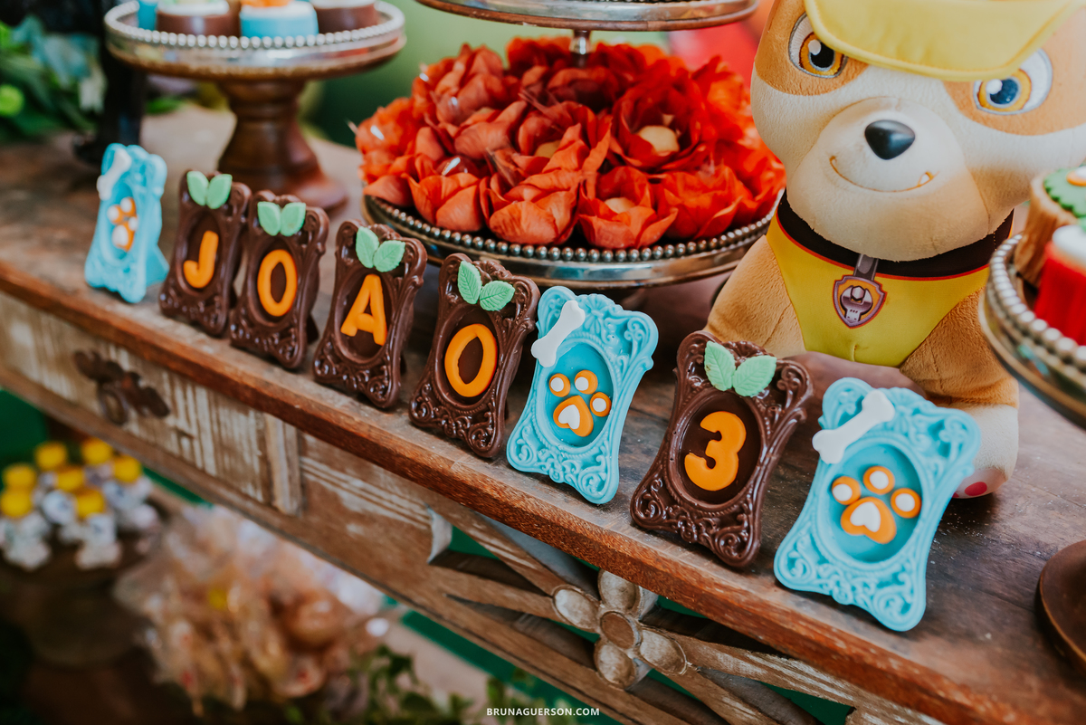 fotografia festa infantil casa de festas nautilus Rio de Janeiro ilha do governador 3 anos dinossauro