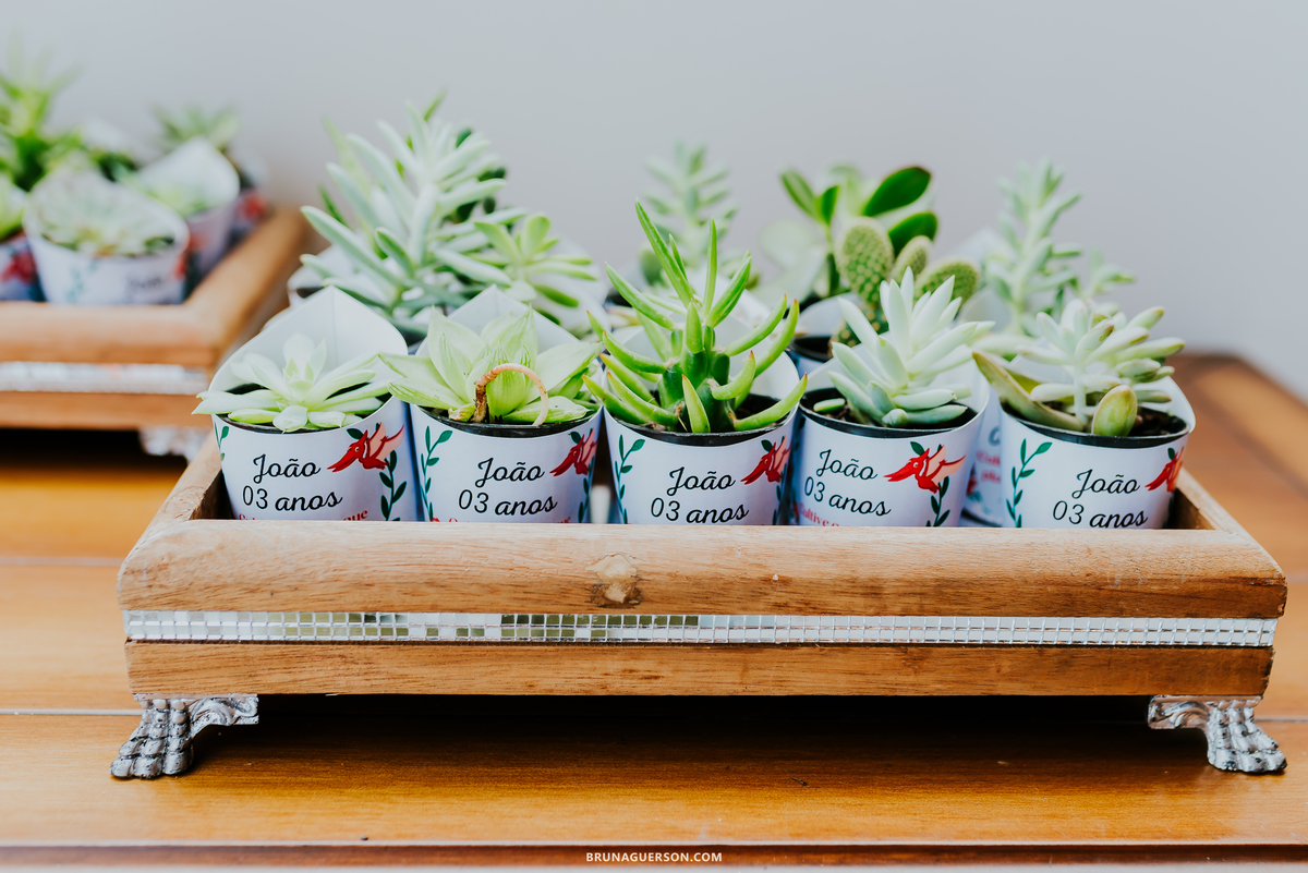 fotografia festa infantil casa de festas nautilus Rio de Janeiro ilha do governador 3 anos dinossauro