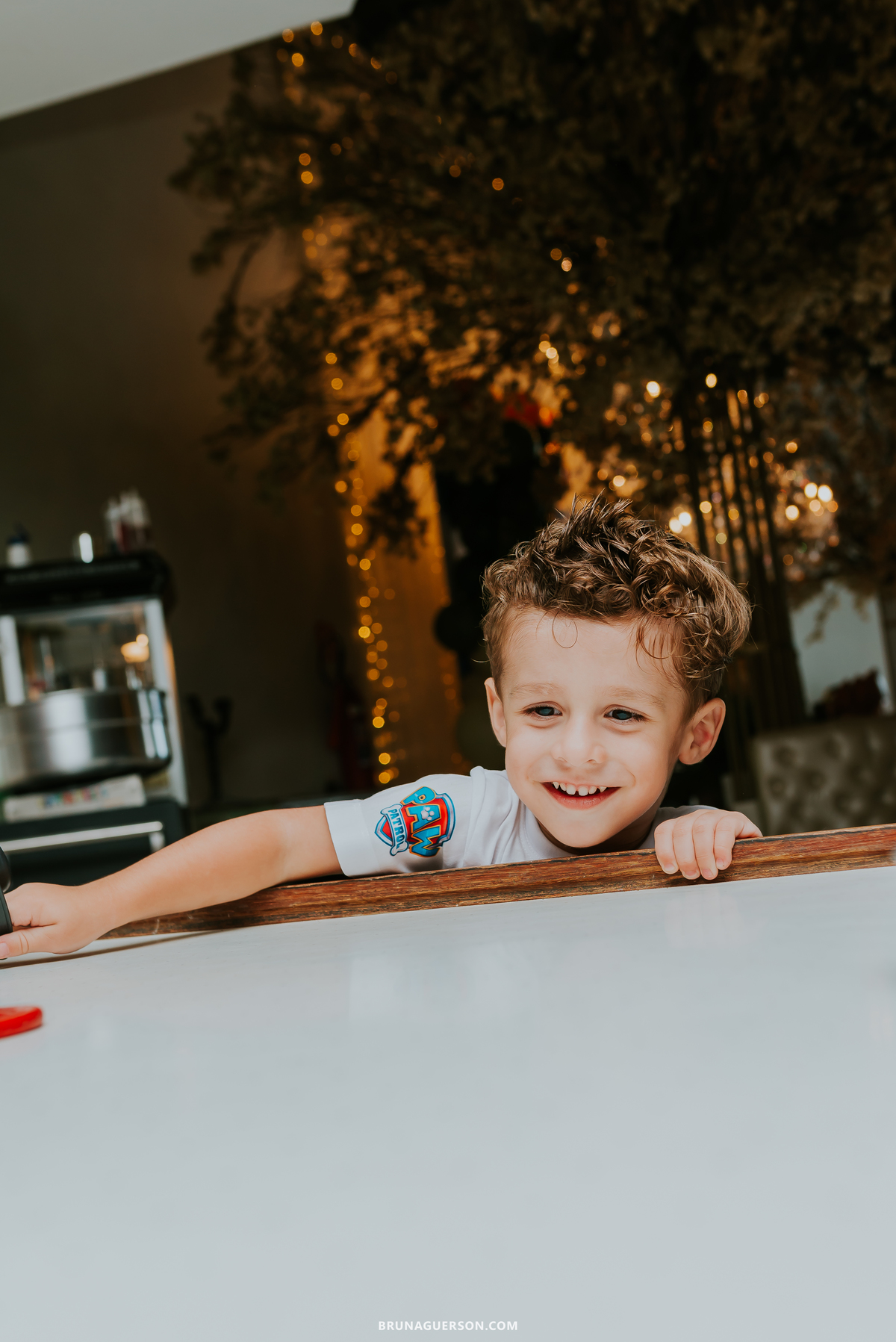 fotografia festa infantil casa de festas nautilus Rio de Janeiro ilha do governador 3 anos dinossauro