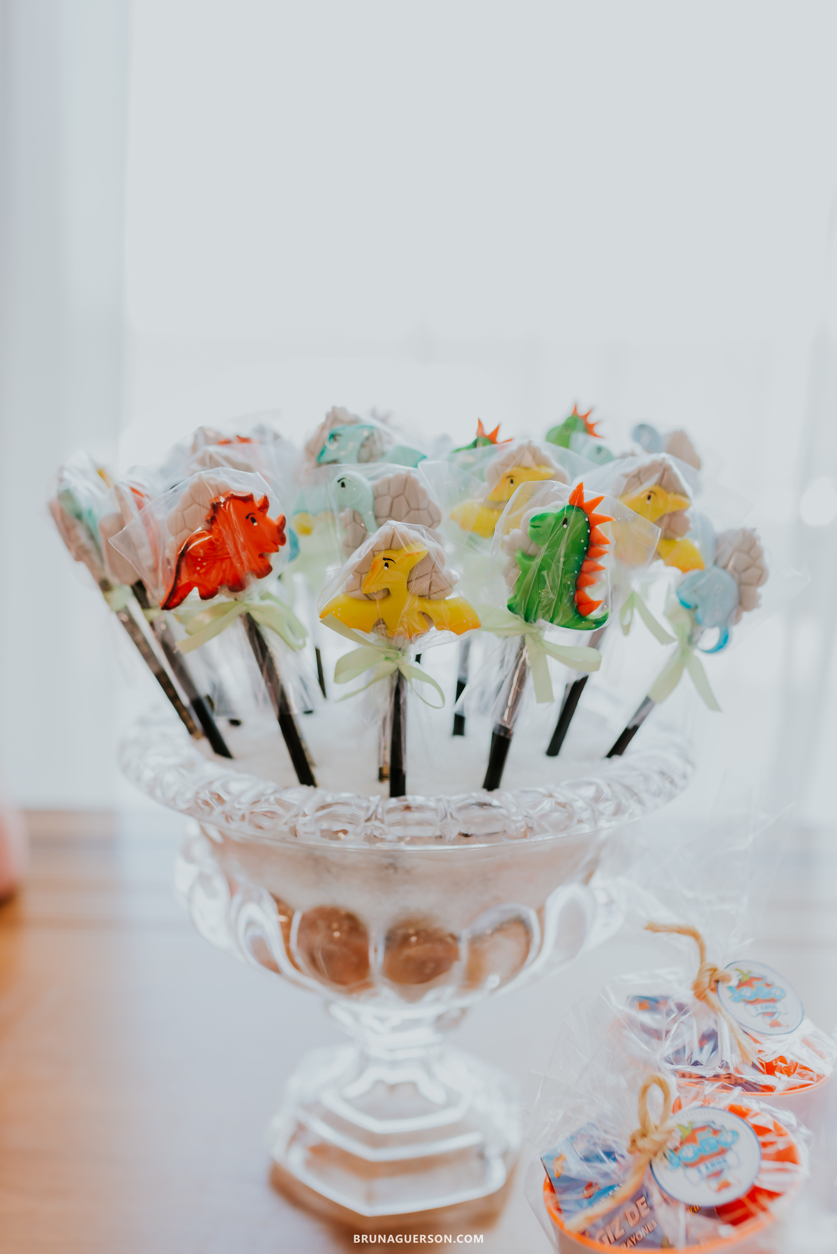 fotografia festa infantil casa de festas nautilus Rio de Janeiro ilha do governador 3 anos dinossauro