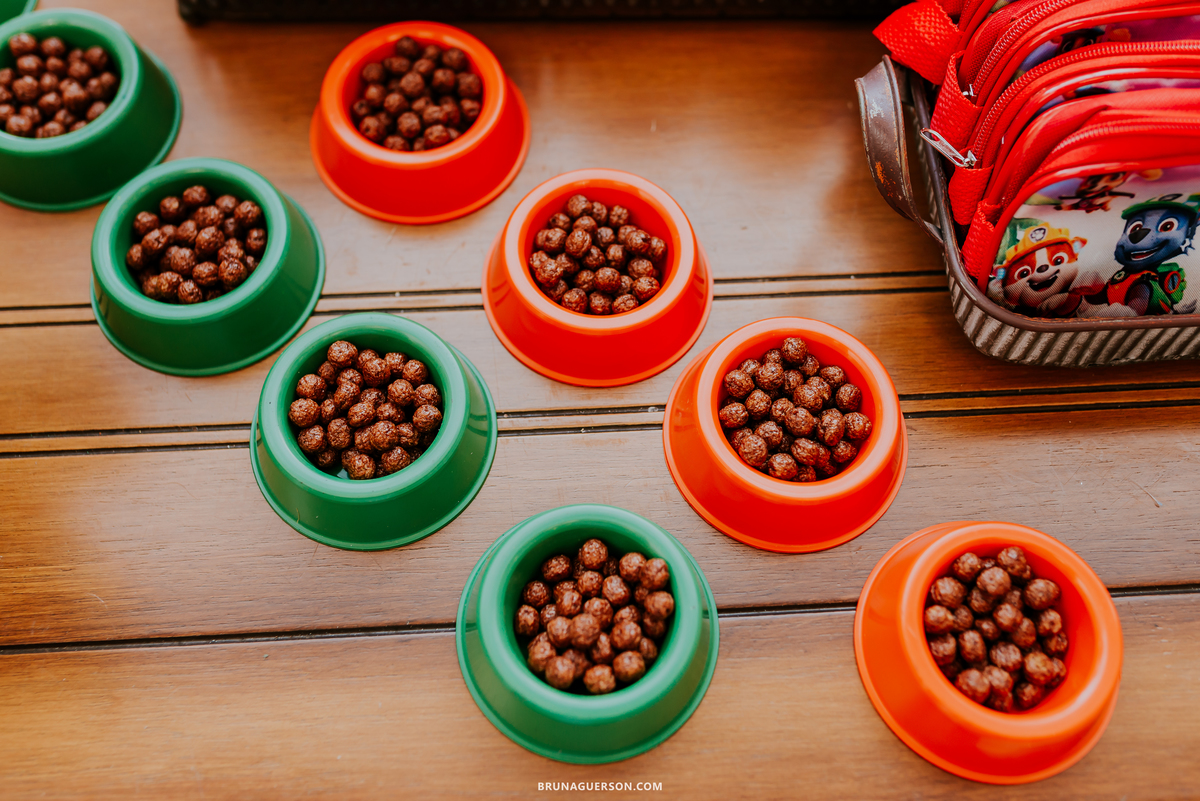 fotografia festa infantil casa de festas nautilus Rio de Janeiro ilha do governador 3 anos dinossauro