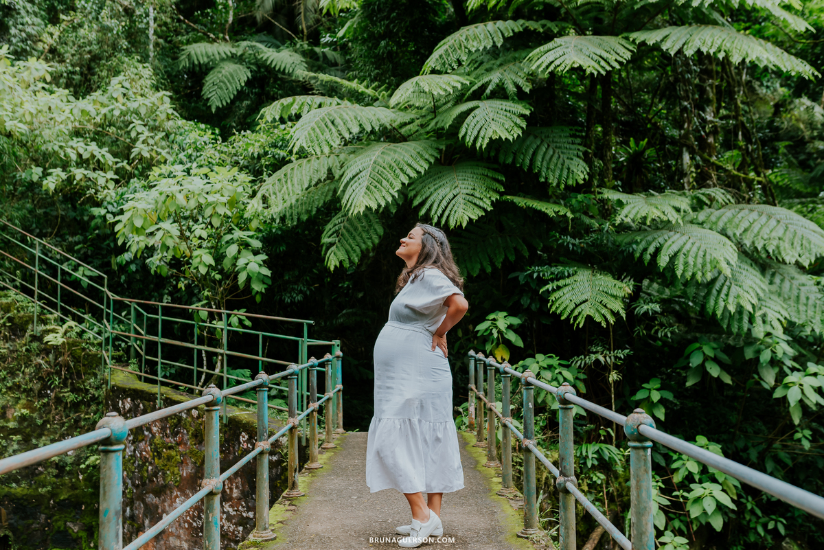 fotografia ensaio gestante externo Teresópolis Rio de Janeiro natureza mae de gêmeos duas maes 
