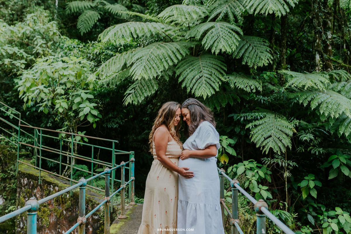 fotografia ensaio gestante externo Teresópolis Rio de Janeiro natureza mae de gêmeos duas maes 