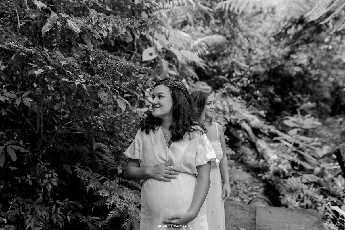 fotografia ensaio gestante externo Teresópolis Rio de Janeiro natureza mae de gêmeos duas maes 