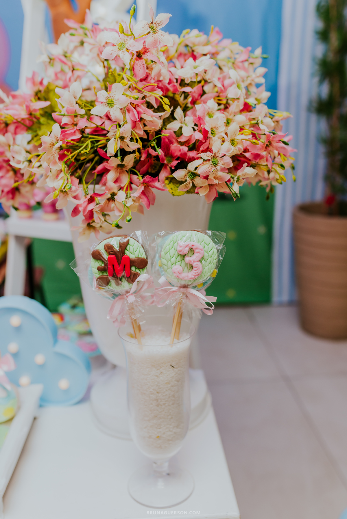 fotografia festa infantil buffet espoleta Botafogo Rio de Janeiro peppa 3 anos Maria Eduarda 