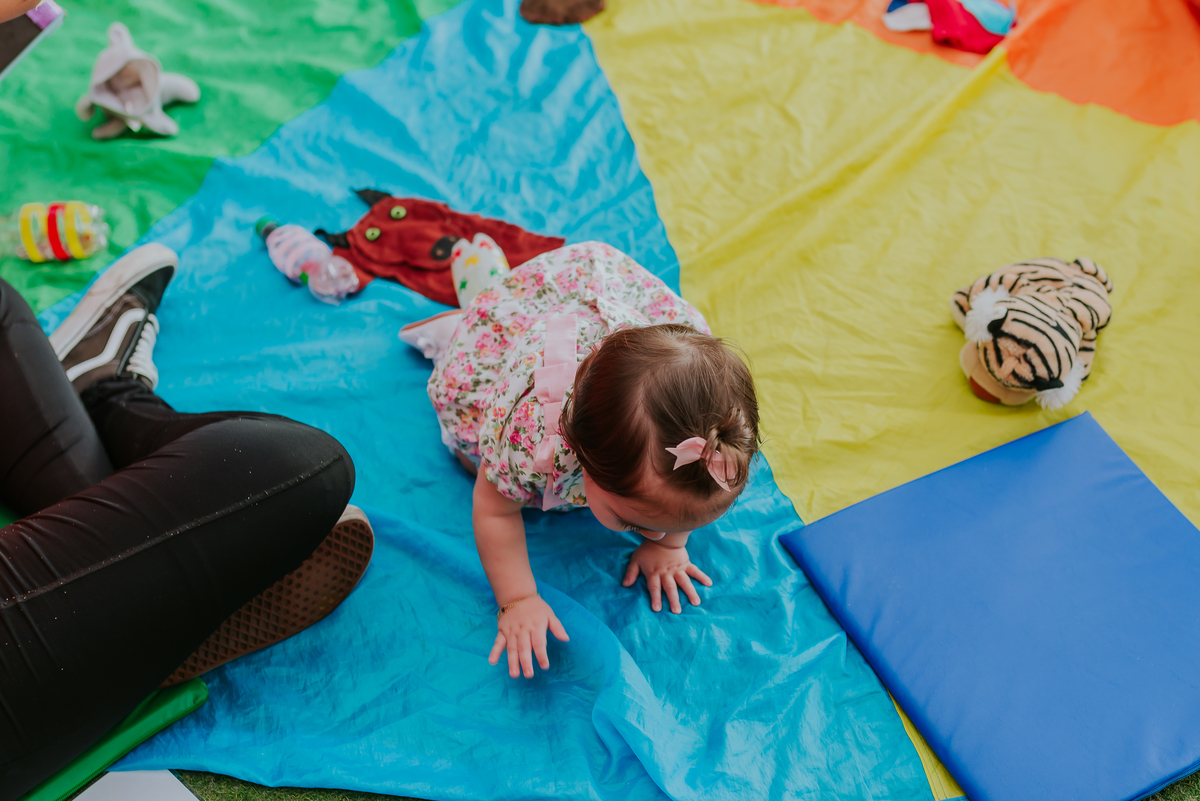 fotografia festa infantil Rio de Janeiro espaço aldeia barra da tijuca joá tema peppa