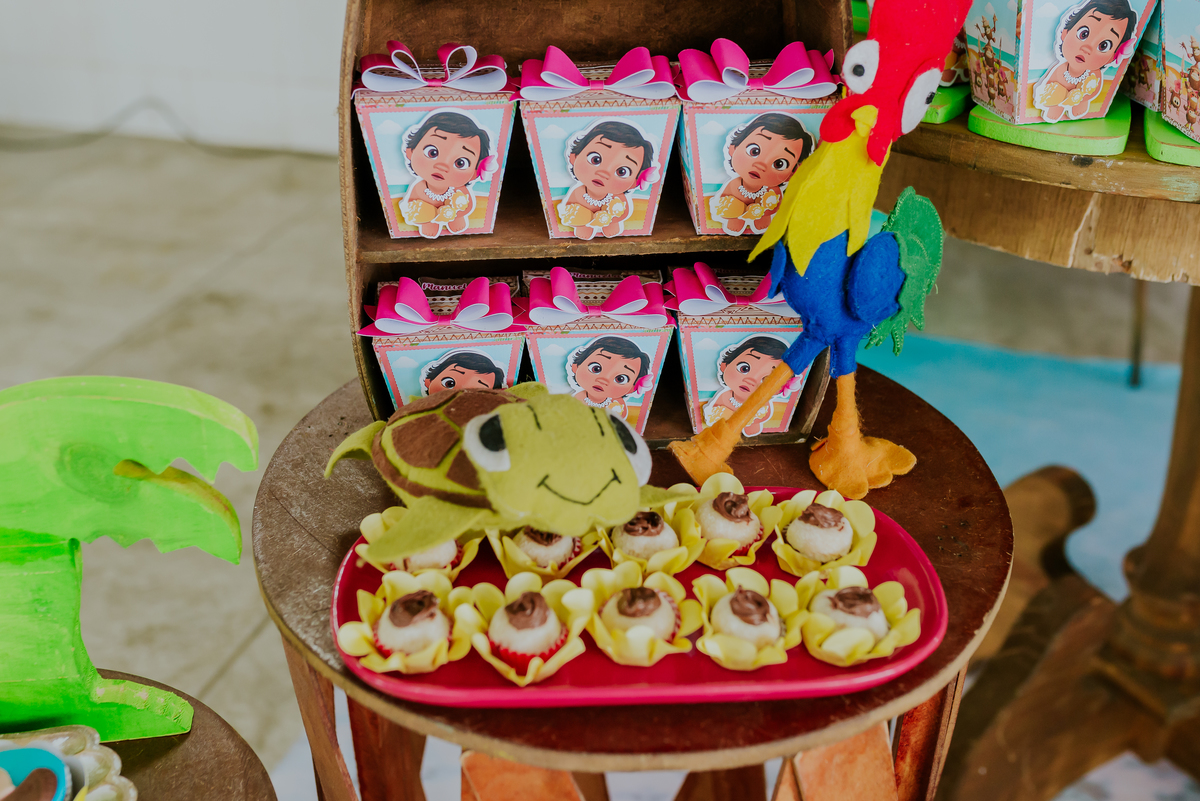 fotografia festa infantil familia tema Moana 2 anos Manuela rio de janeiro ilha do governador 