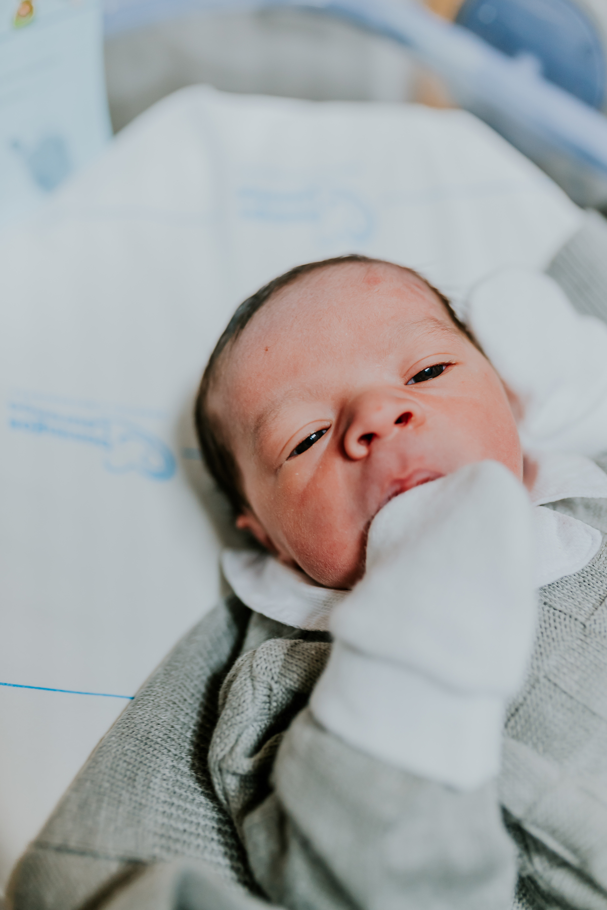 fotografia nascimento parto maternidade domingos lourenco rio de janeiro rj fotografa familia bruna guerson cesarea