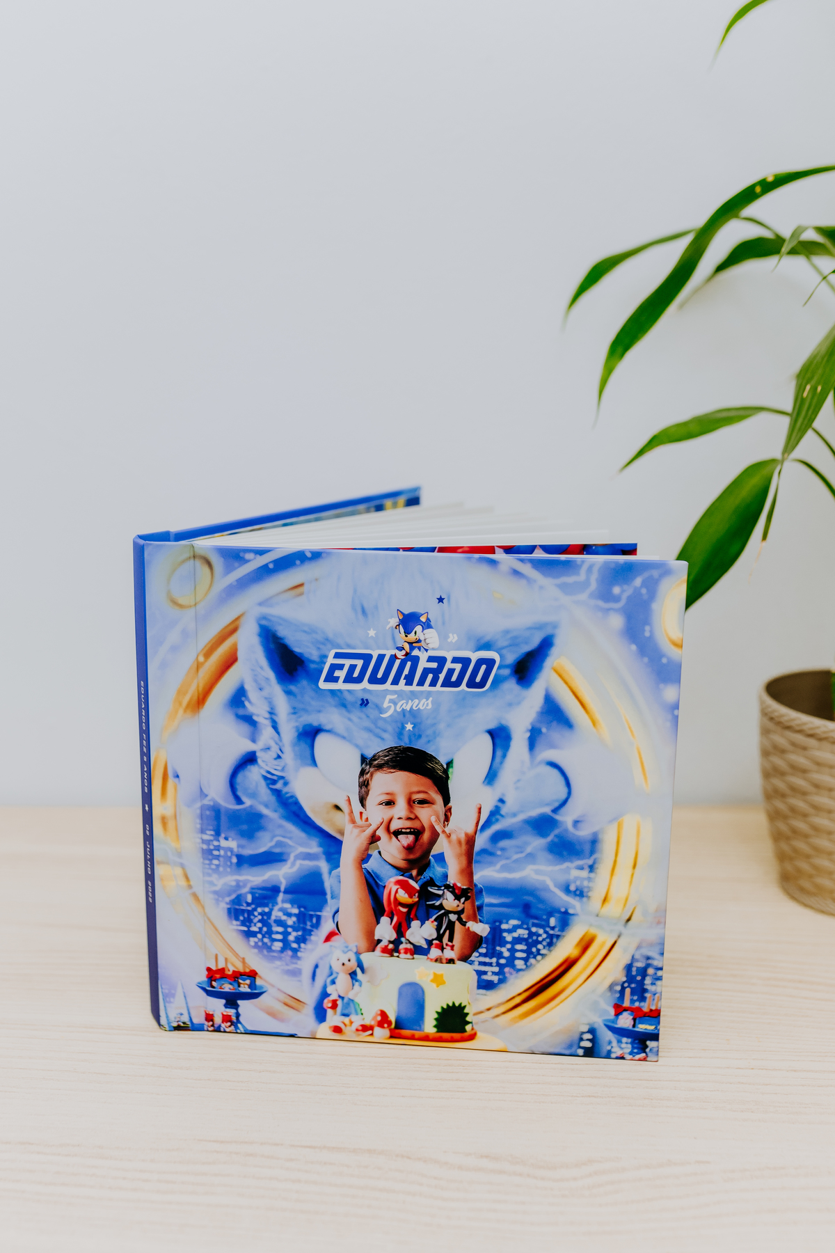 fotografia festa infantil espaço faz de conta Rio de Janeiro cachambi 5 anos Sonic 