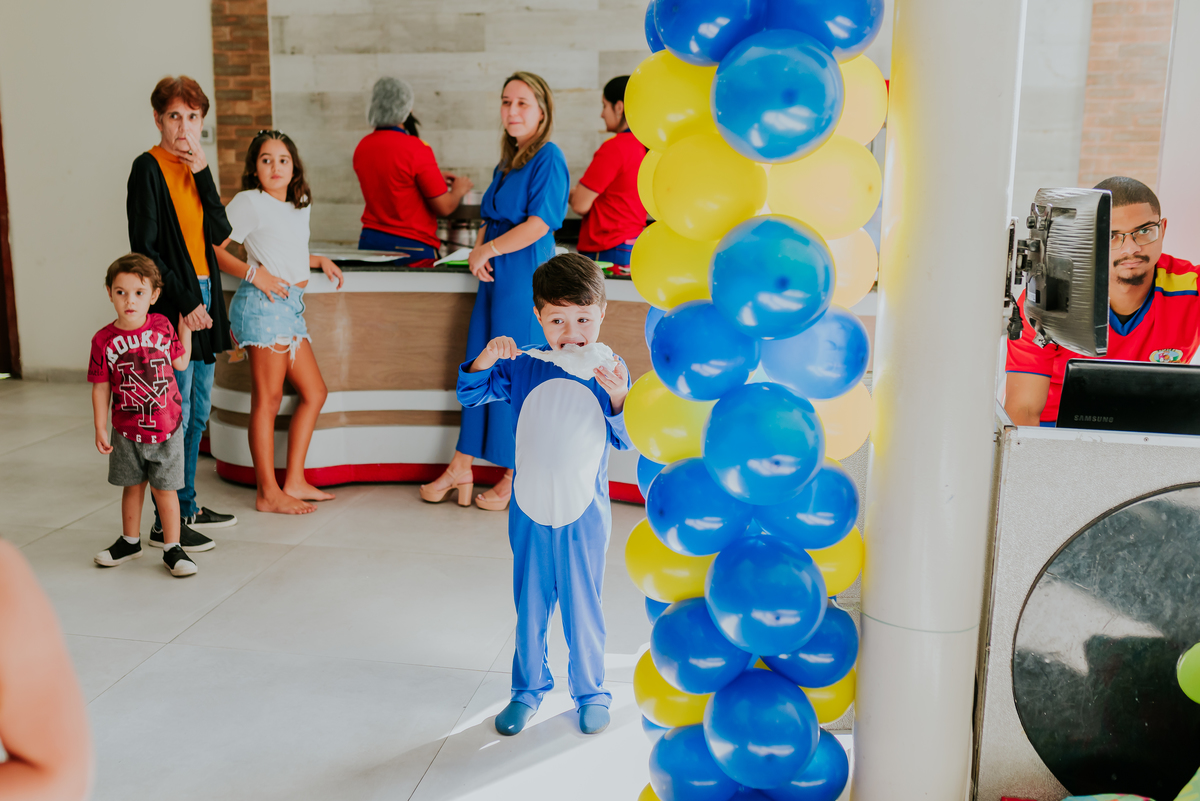 fotografia festa infantil espaço faz de conta Rio de Janeiro cachambi 5 anos Sonic 