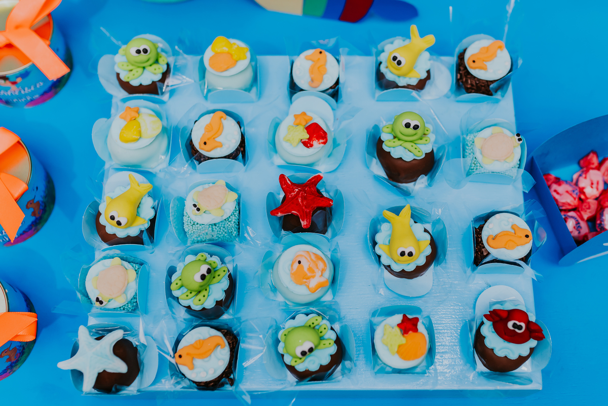 fotografia festa infantil rio de janeiro espaco diversao jardim guanabara ilha do governador 1 ano francisco fundo do mar 