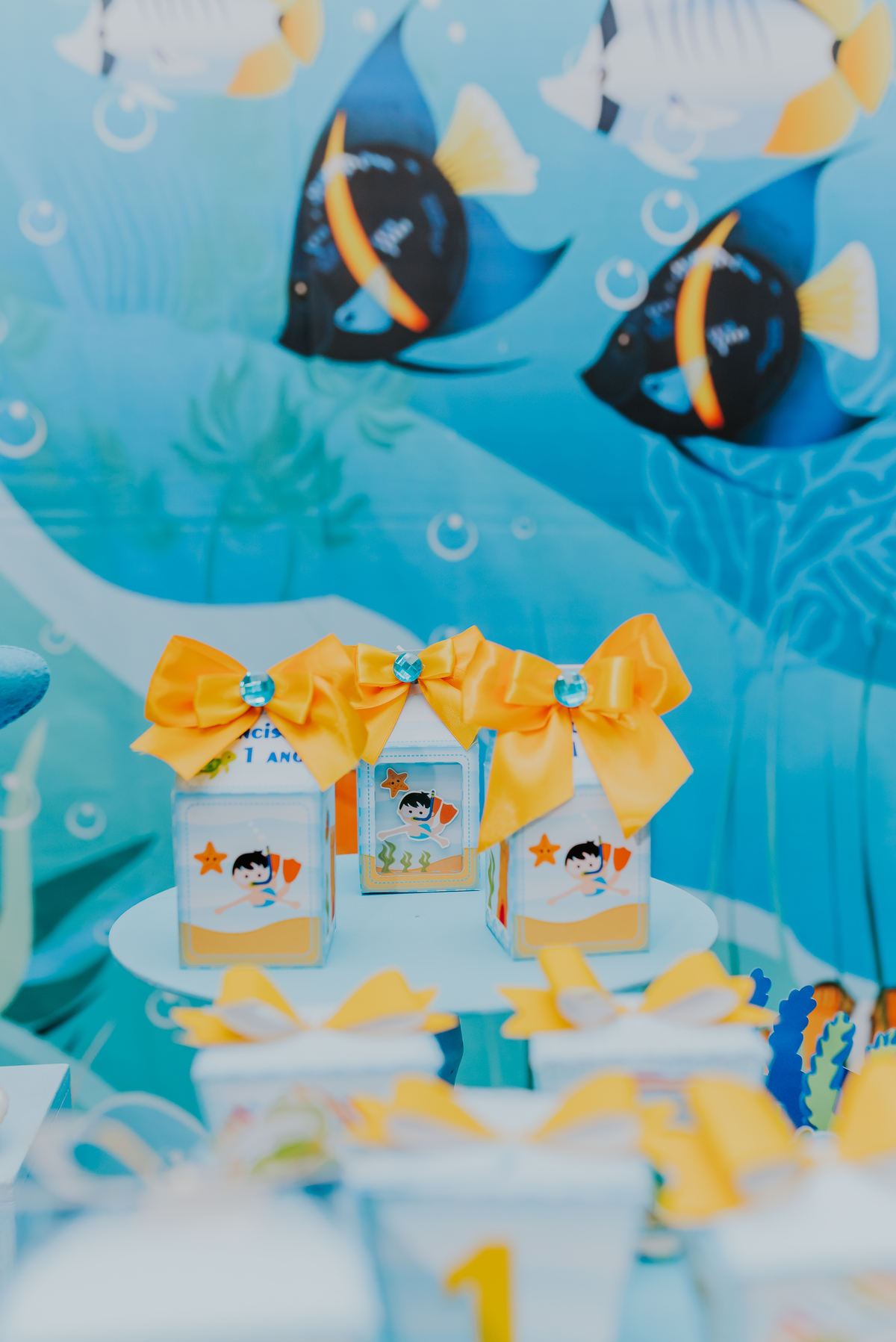 fotografia festa infantil rio de janeiro espaco diversao jardim guanabara ilha do governador 1 ano francisco fundo do mar 