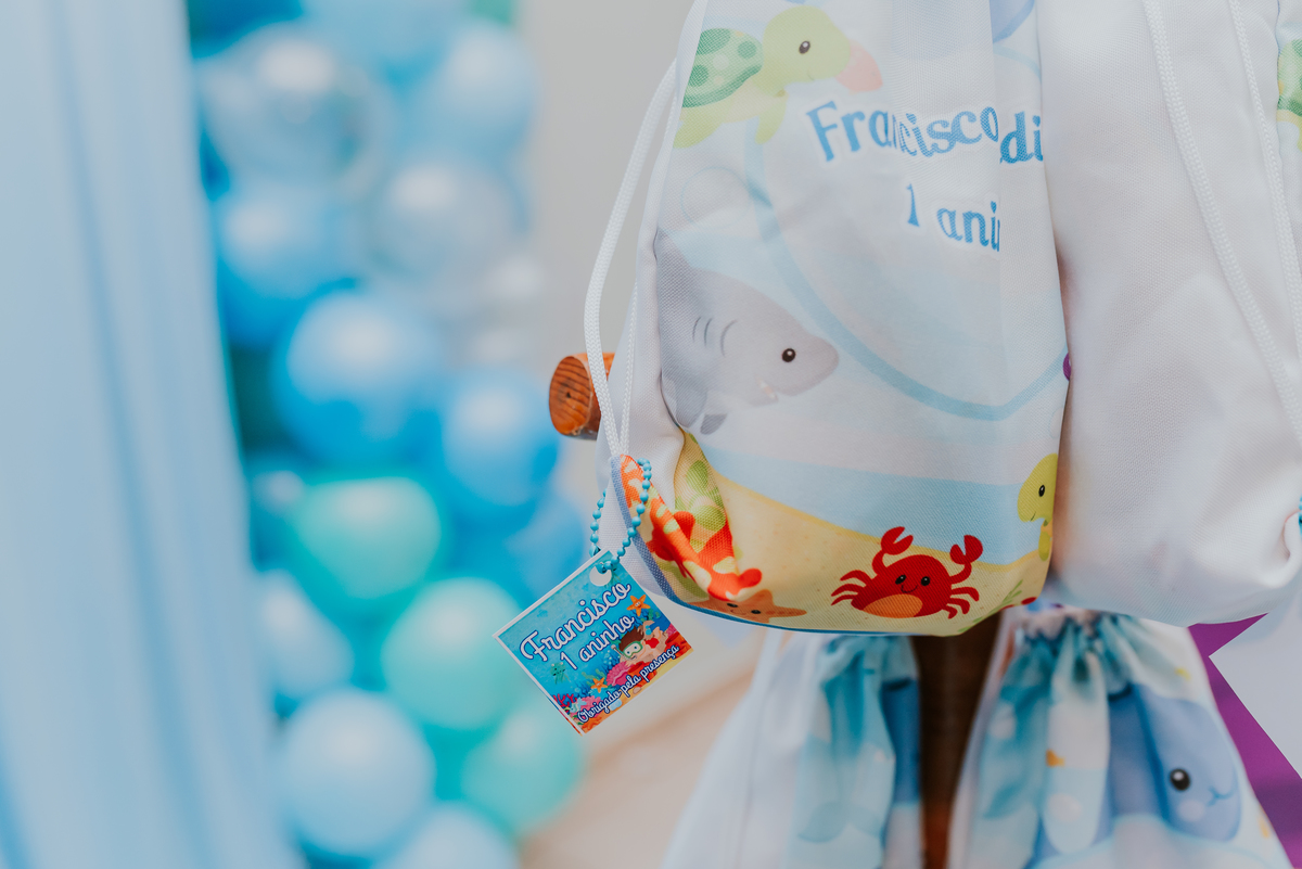 fotografia festa infantil rio de janeiro espaco diversao jardim guanabara ilha do governador 1 ano francisco fundo do mar 