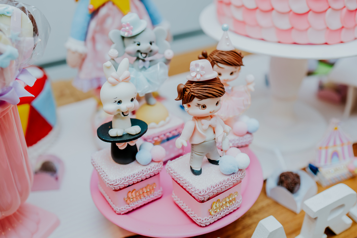 fotografia festa infantil espoleta play rio de janeiro laranjeiras 1 ano maria clara tema circo fotografa de familia 