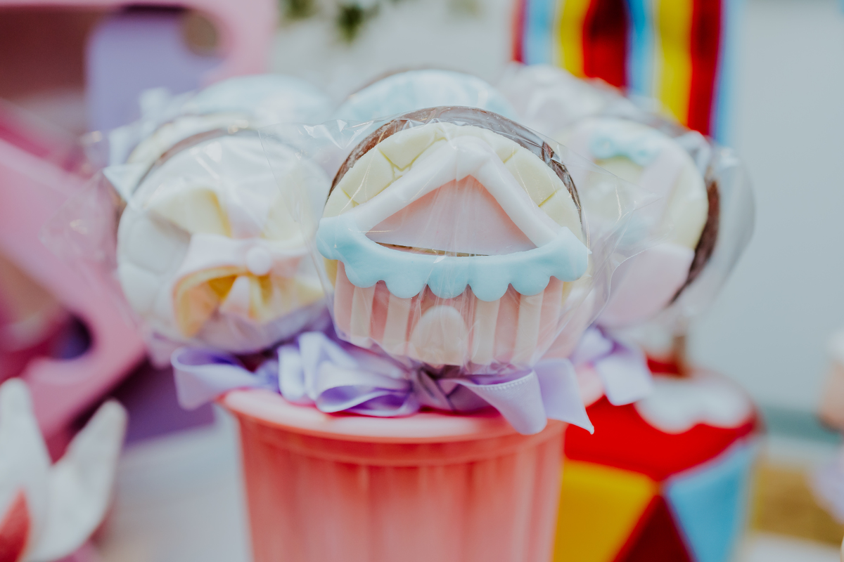 fotografia festa infantil espoleta play rio de janeiro laranjeiras 1 ano maria clara tema circo fotografa de familia 