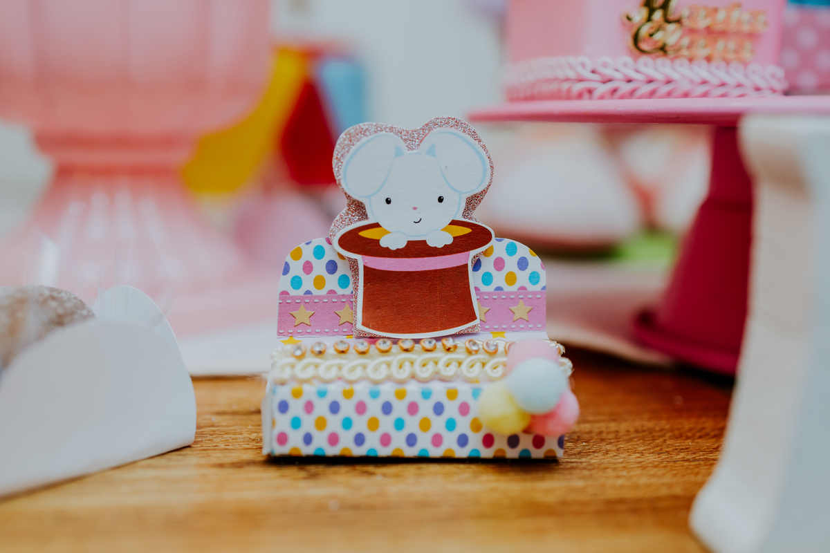 fotografia festa infantil espoleta play rio de janeiro laranjeiras 1 ano maria clara tema circo fotografa de familia 