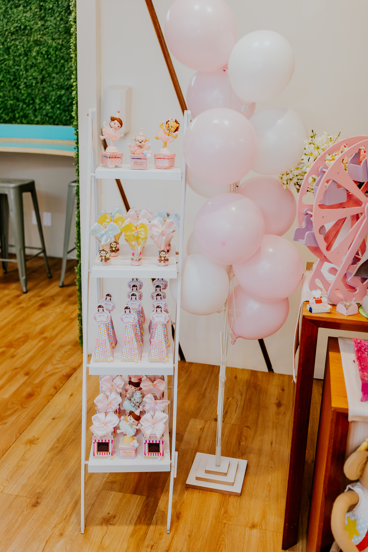 fotografia festa infantil espoleta play rio de janeiro laranjeiras 1 ano maria clara tema circo fotografa de familia 