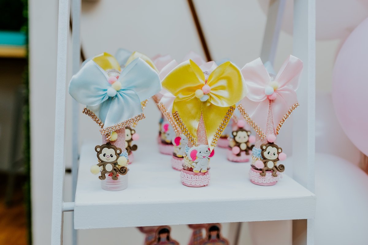 fotografia festa infantil espoleta play rio de janeiro laranjeiras 1 ano maria clara tema circo fotografa de familia 