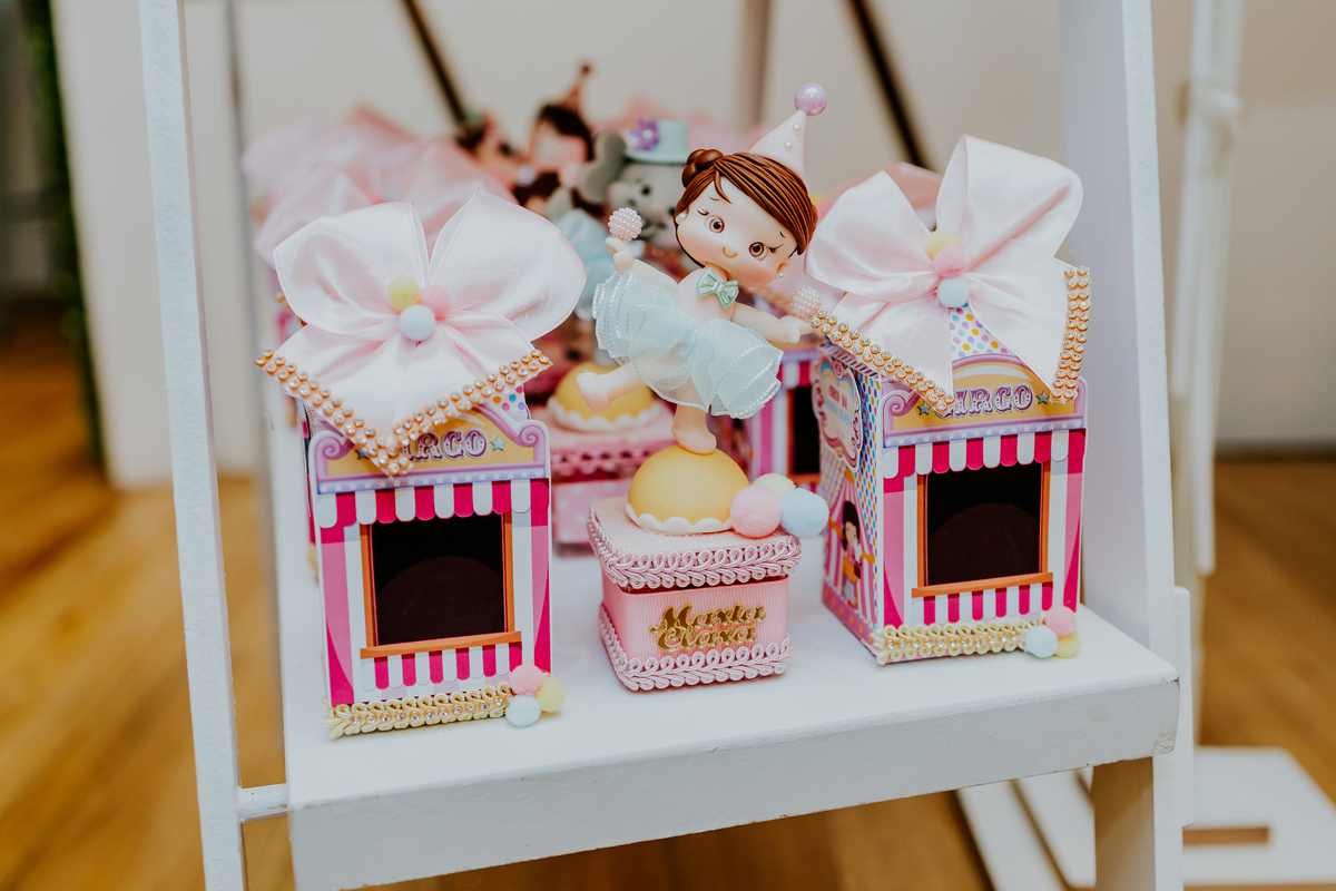 fotografia festa infantil espoleta play rio de janeiro laranjeiras 1 ano maria clara tema circo fotografa de familia 