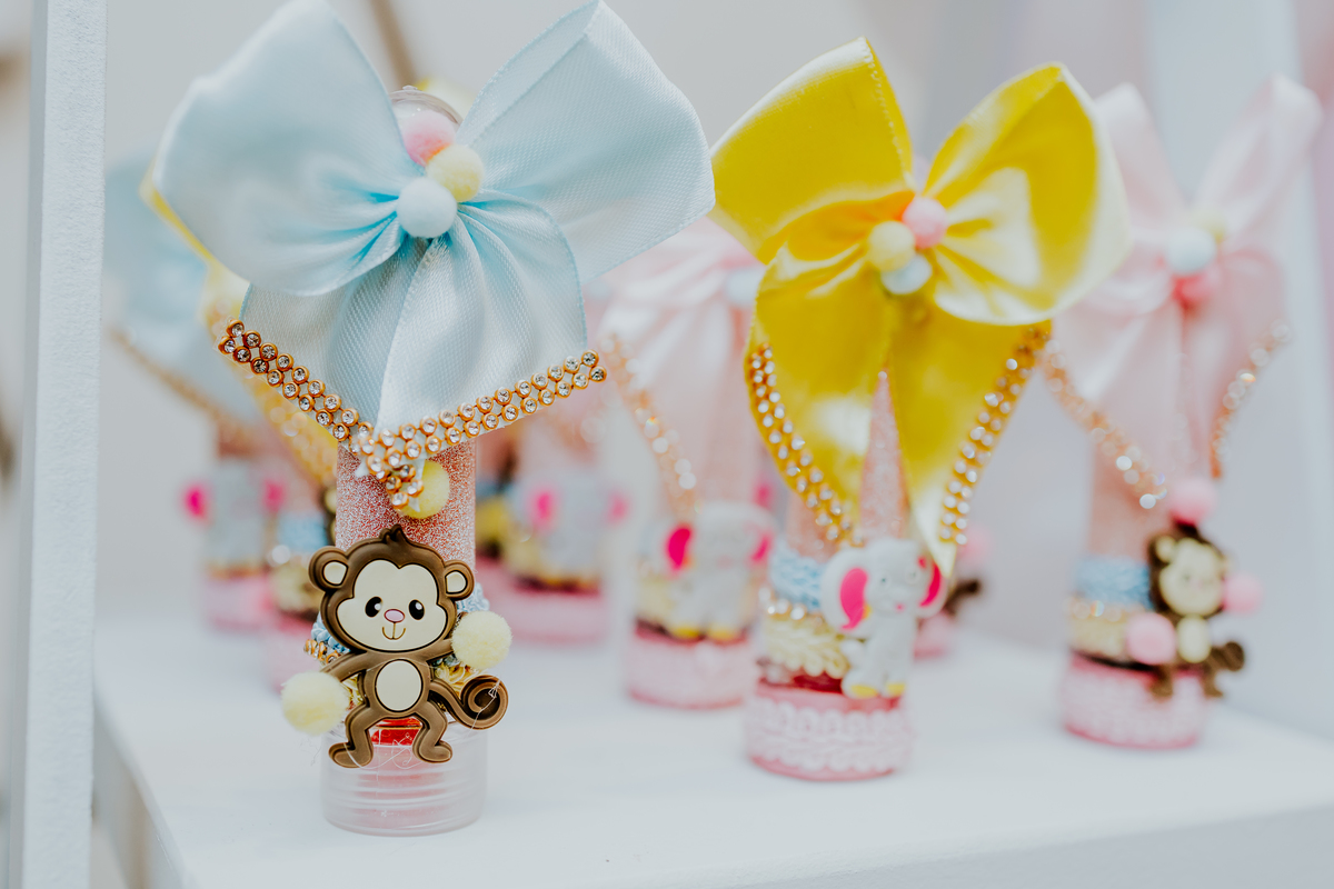 fotografia festa infantil espoleta play rio de janeiro laranjeiras 1 ano maria clara tema circo fotografa de familia 