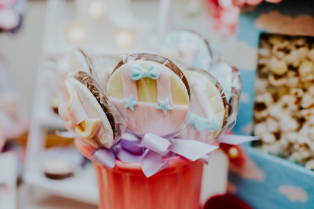 fotografia festa infantil espoleta play rio de janeiro laranjeiras 1 ano maria clara tema circo fotografa de familia 