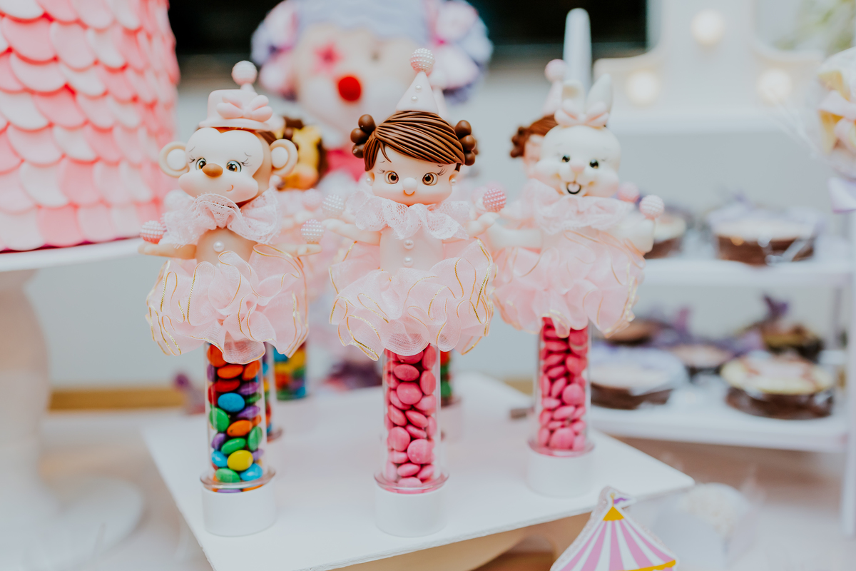 fotografia festa infantil espoleta play rio de janeiro laranjeiras 1 ano maria clara tema circo fotografa de familia 