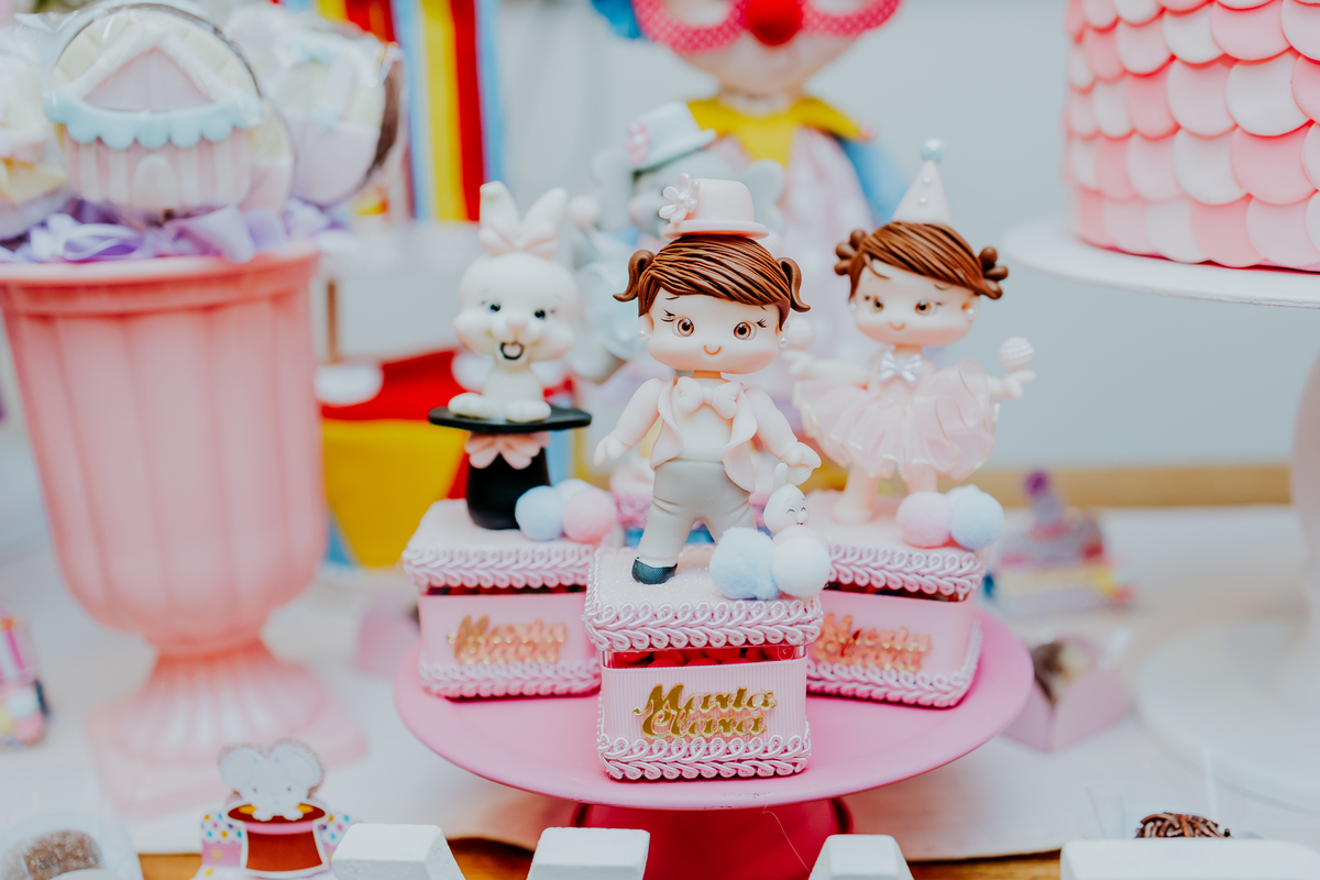 fotografia festa infantil espoleta play rio de janeiro laranjeiras 1 ano maria clara tema circo fotografa de familia 