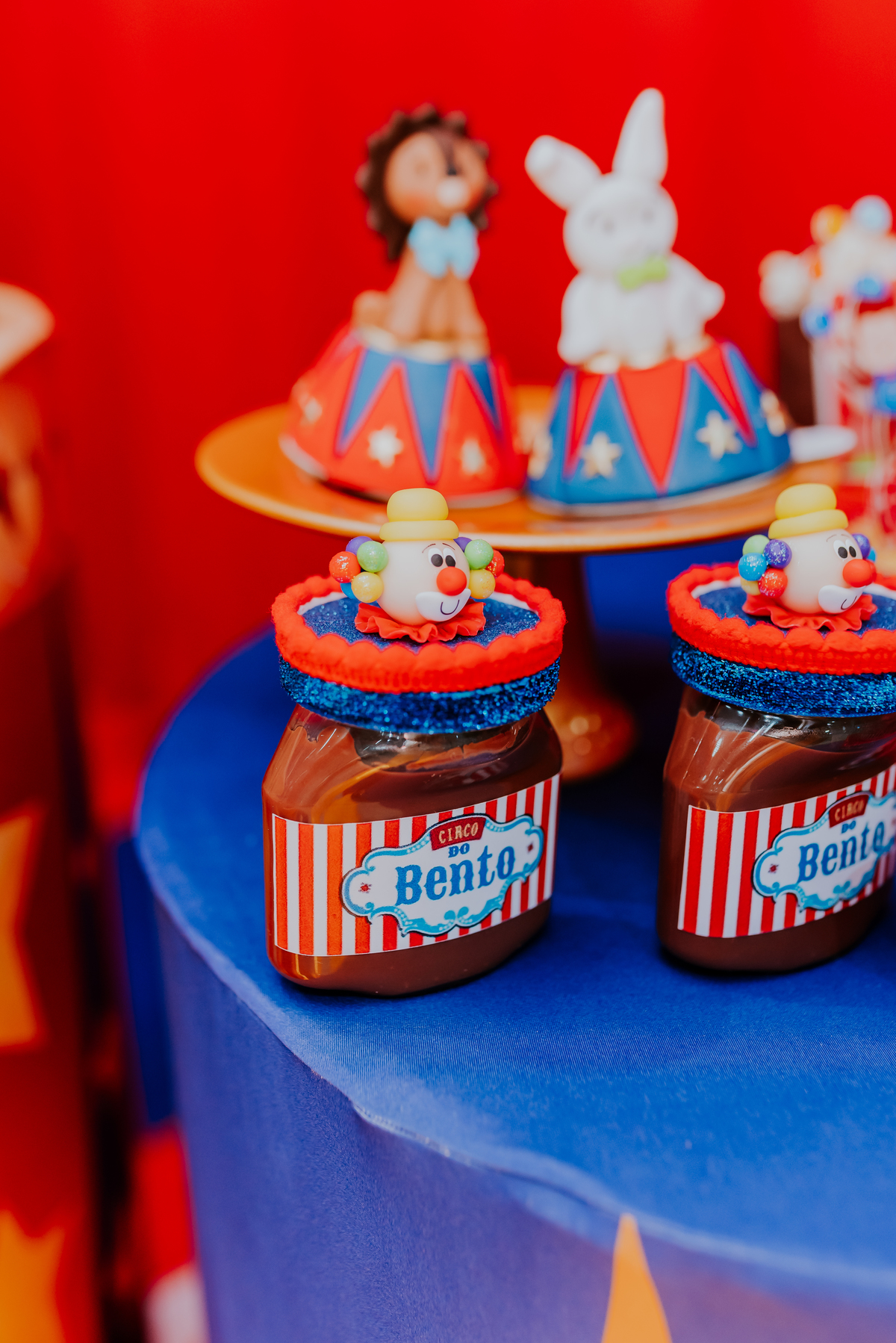 fotografia festa infantil casa de festas baladauê meier Rio de Janeiro fotografa de familia 1 ano bento tema circo