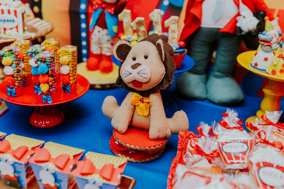 fotografia festa infantil casa de festas baladauê meier Rio de Janeiro fotografa de familia 1 ano bento tema circo