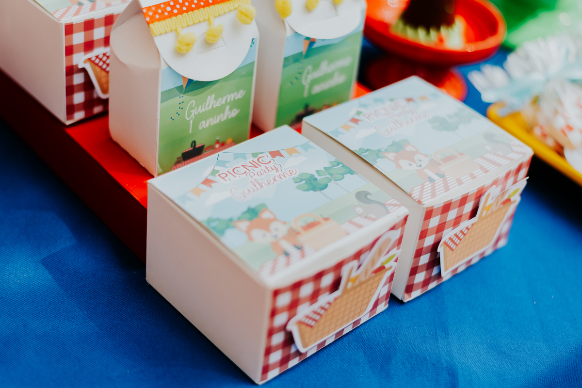 fotografia festa infantil ao ar livre piquenique 1 ano guilherme iate clube jardim Guanabara rio de janeiro 