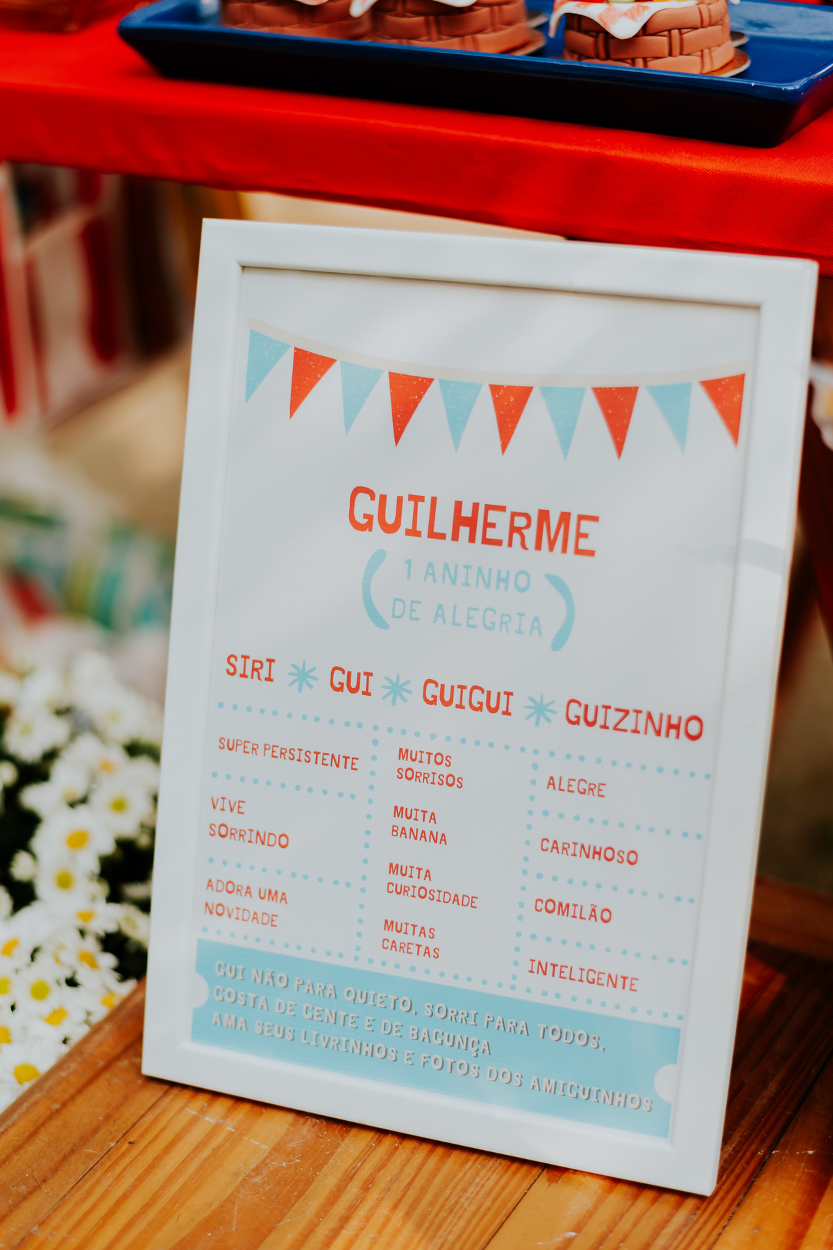 fotografia festa infantil ao ar livre piquenique 1 ano guilherme iate clube jardim Guanabara rio de janeiro 