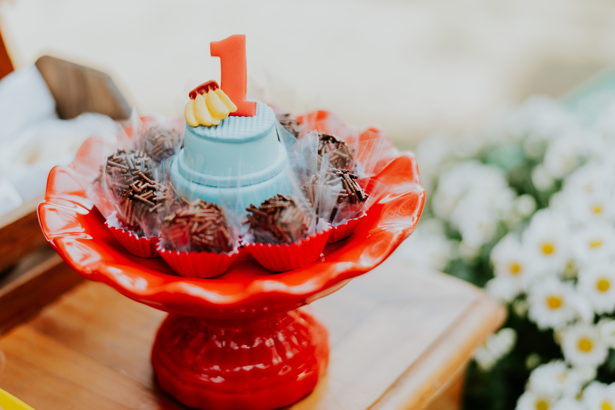 fotografia festa infantil ao ar livre piquenique 1 ano guilherme iate clube jardim Guanabara rio de janeiro 