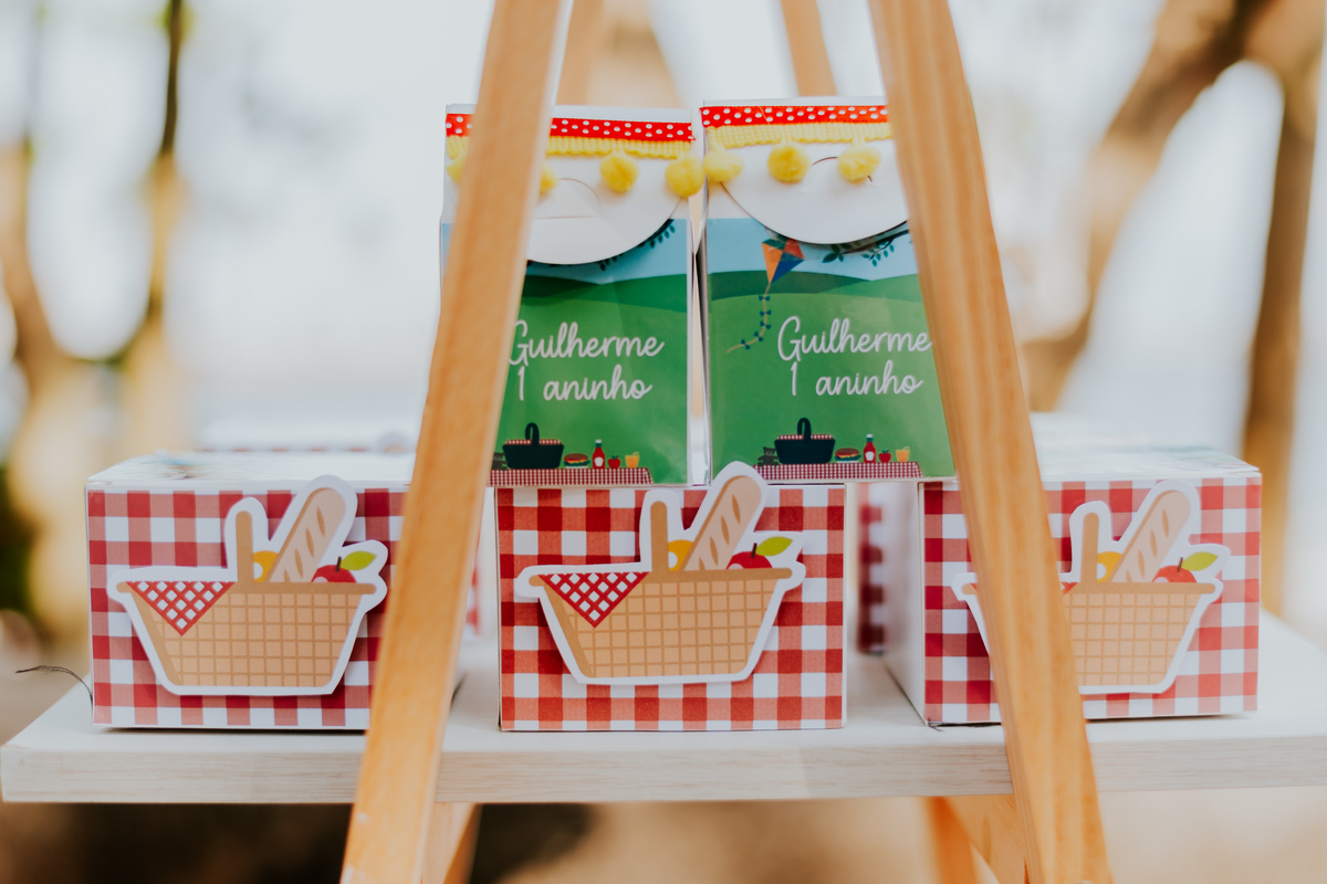 fotografia festa infantil ao ar livre piquenique 1 ano guilherme iate clube jardim Guanabara rio de janeiro fotografia festa infantil ao ar livre piquenique 1 ano guilherme iate clube jardim Guanabara rio de janeiro 