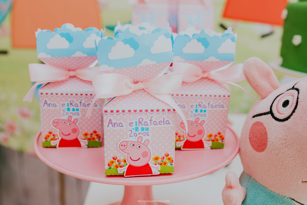 fotografia Rio de Janeiro festa infantil barra da Tijuca 2 anos fotografa familia 