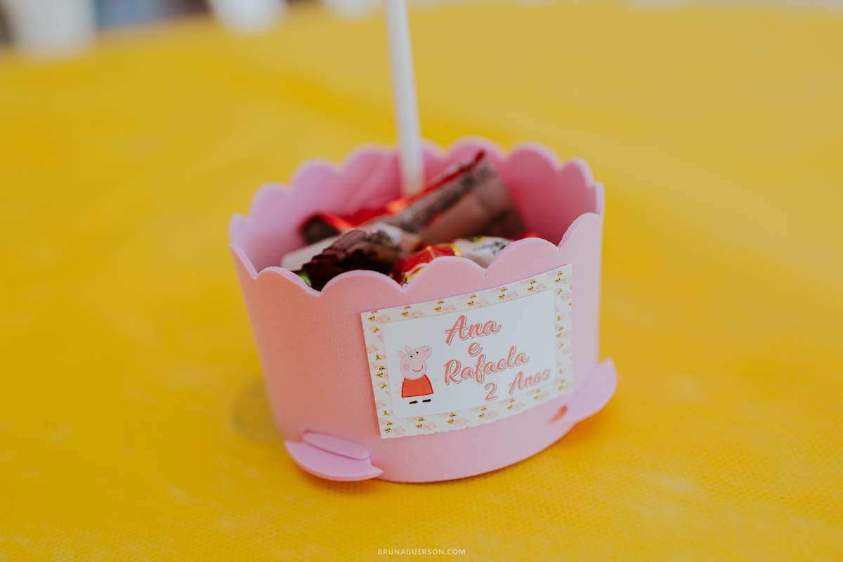 fotografia Rio de Janeiro festa infantil barra da Tijuca 2 anos fotografa familia 