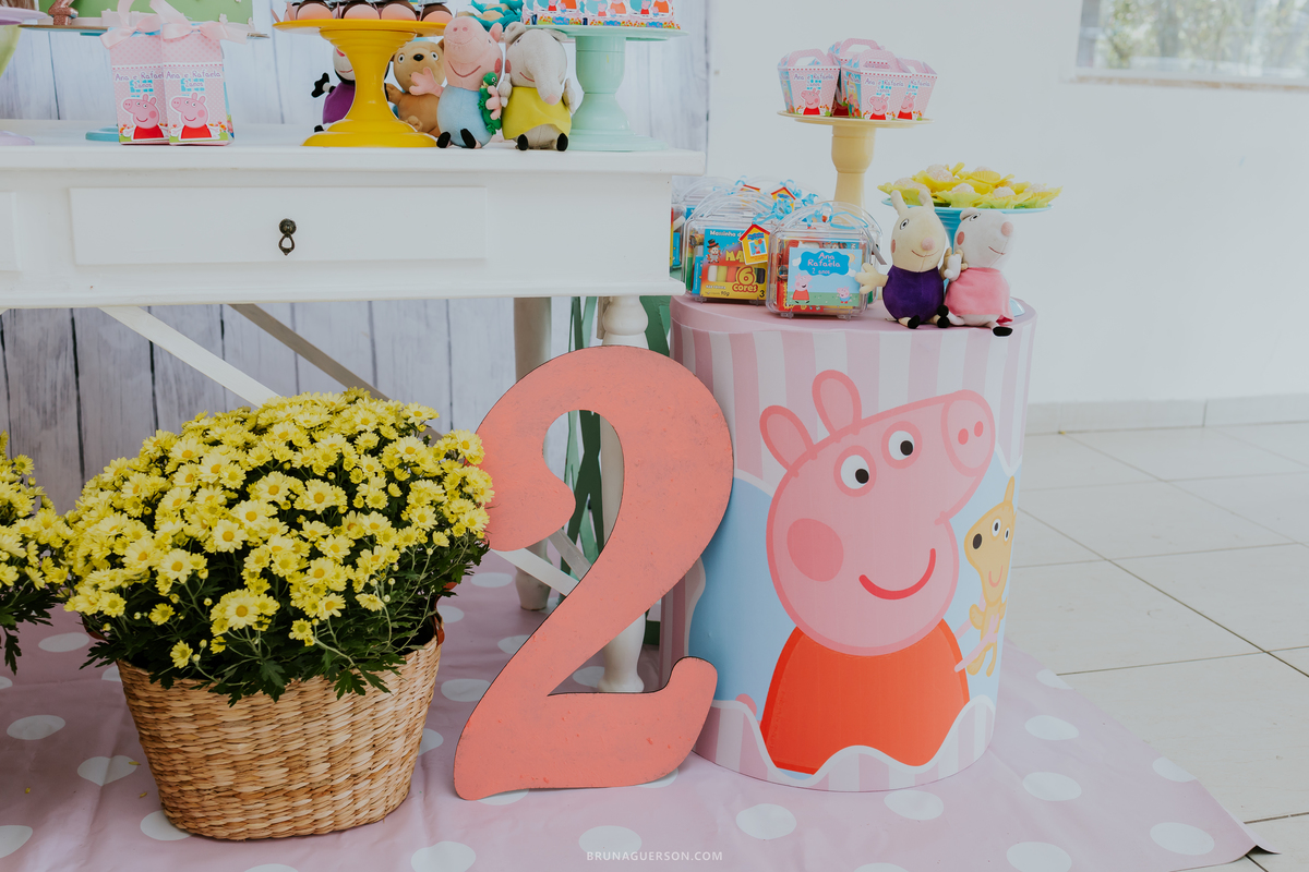 fotografia Rio de Janeiro festa infantil barra da Tijuca 2 anos fotografa familia 